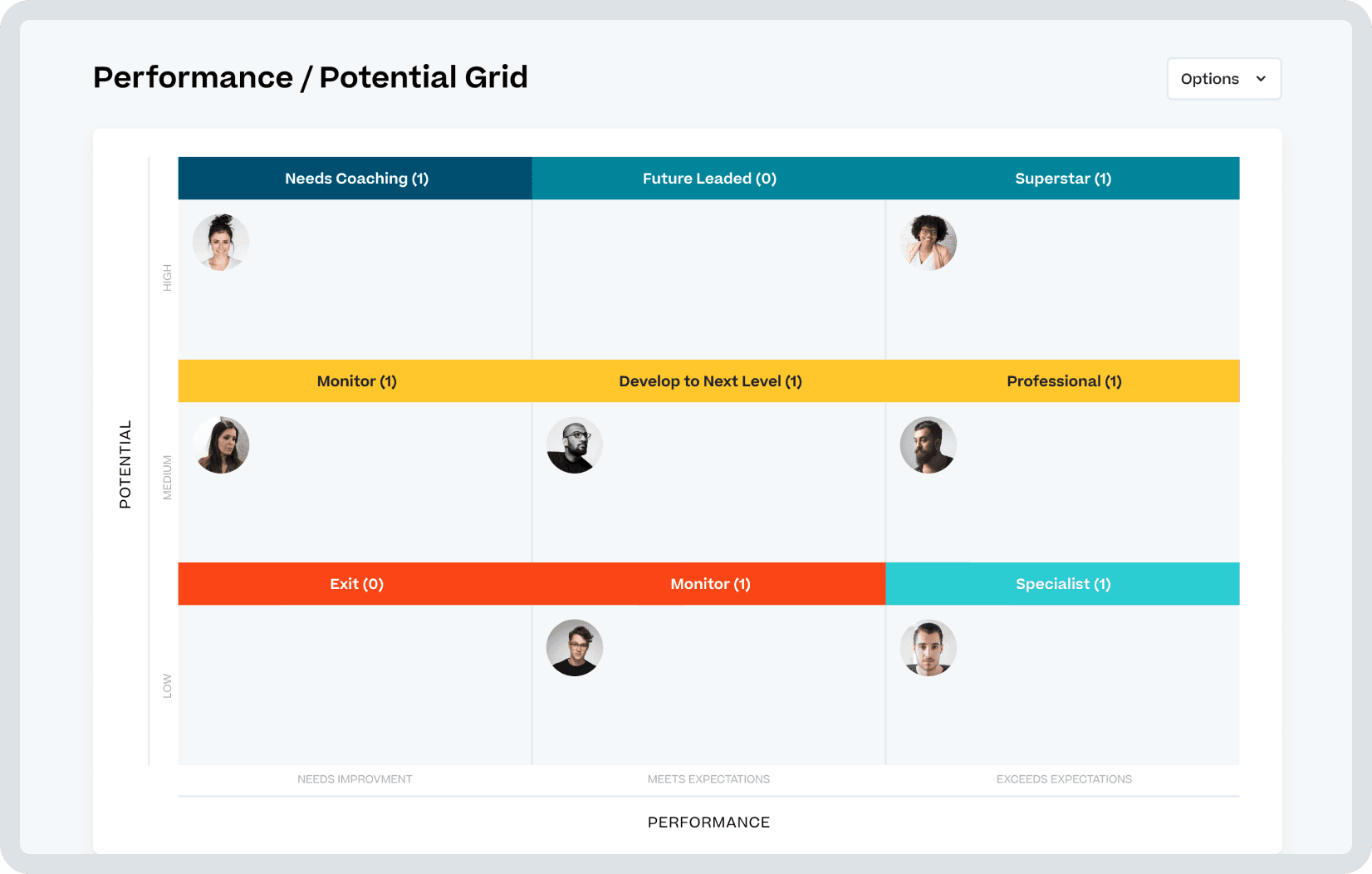 Cornerstone performance/potential grid.