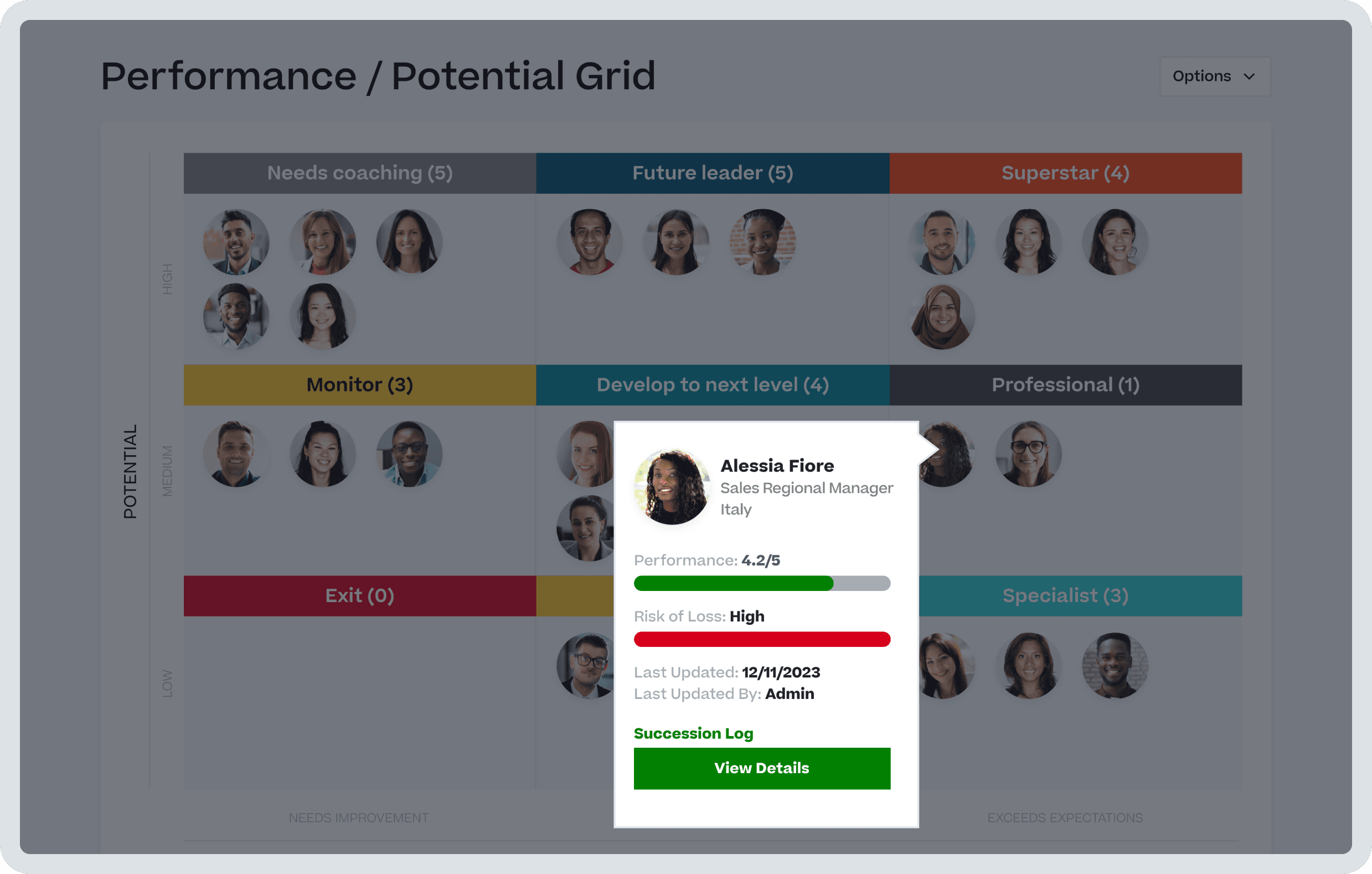 Product screenshot of Cornerstone Succession Planning.